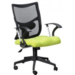 ER 5006 Mesh Lowback Office Chair